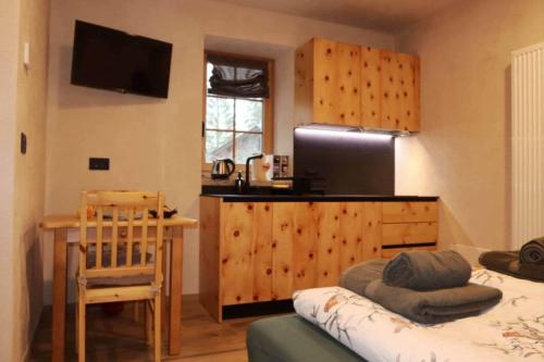 Et tv og/eller underholdning på Ciesa Le Crepedele - Miniappartamento Zirum