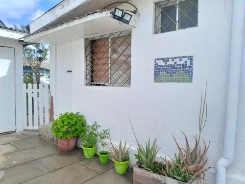 een wit huis met potplanten op een patio bij Las Cruces, Sector Playa Chica in San Antonio