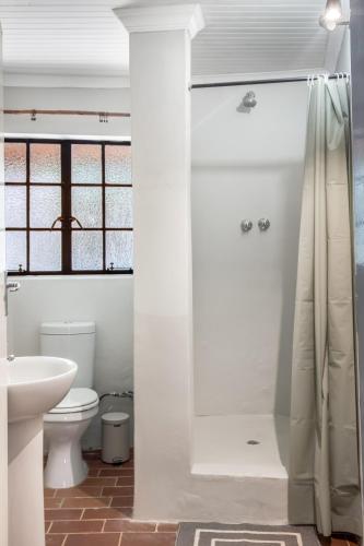 a bathroom with a shower and a toilet at The ChaBo Lodge in Marloth Park