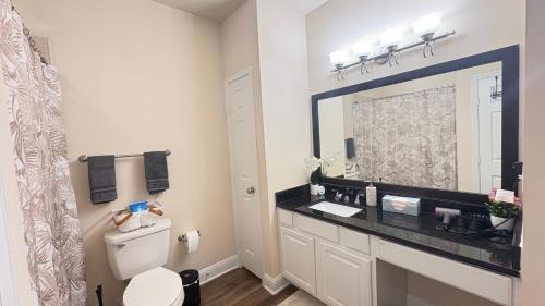 a bathroom with a sink and a toilet and a mirror at Relaxing Pool-View 1BR Near Top Houston Spots in Houston