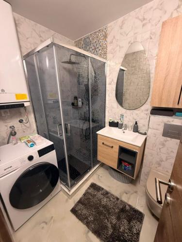 a bathroom with a shower and a sink at Gohemi Apartments in Pirot