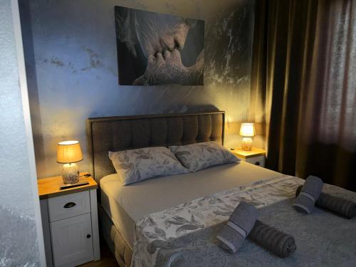 En eller flere senge i et værelse på Apartman S&V 3 Istocno Sarajevo Lukavica sa Jacuzzi Lux Spa Hilandarska Centar