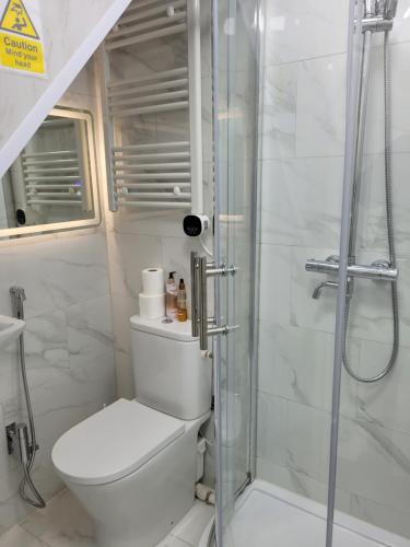 a bathroom with a toilet and a glass shower at 525 Romford Rd, Fabulous Room in London