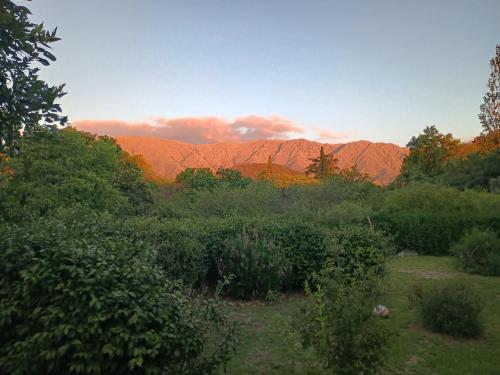 Billede fra billedgalleriet på Casa Los Naranjos i La Paz