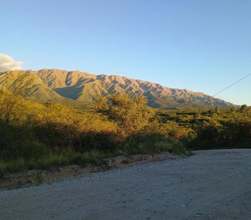 Billede fra billedgalleriet på Casa Los Naranjos i La Paz