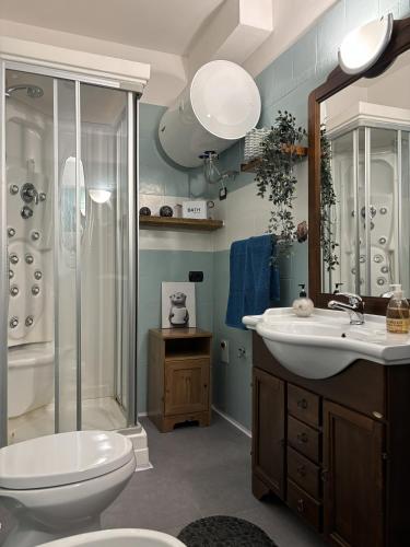 a bathroom with a shower and a toilet and a sink at Rifugio delle Emozioni in Grange Sises