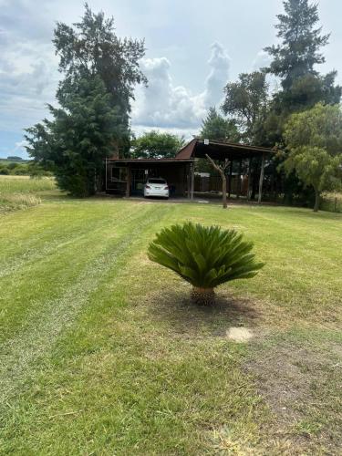 En have udenfor Casa termas guaviyu