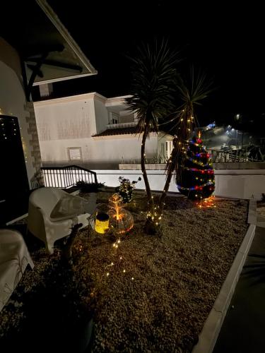 a christmas tree and lights in a yard at night at Studio LEIRIA Side in Leiria