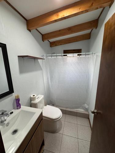 a bathroom with a white toilet and a sink at Alaska cabin in Choroico