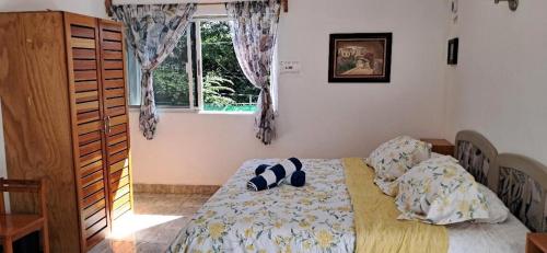 a bedroom with a bed and a window at Estudio Coatí Azul en la Isla de Cozumel en el Caribe in Cozumel