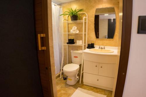ein Badezimmer mit Toilette, Waschbecken und Spiegel in der Unterkunft beautiful and comfortable suit in Cuenca