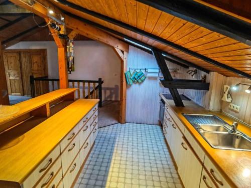 een keuken met een spoelbak en een aanrechtblad bij Farmhouse for arrival in Lütjenwestedt