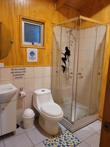 a bathroom with a shower and a toilet at CABAÑAS RINCON SOLEADO, Chile Chico in Chile Chico
