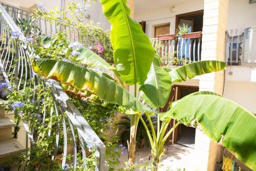a bunch of plants in front of a house at Apartment Simone in Lecce