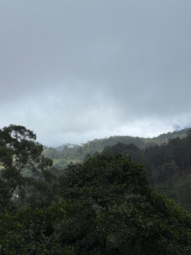 vista su una montagna con alberi in primo piano di Ivory Canopy Resort - Ella a Ella