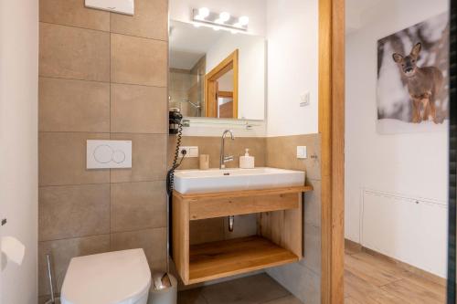 een badkamer met een wastafel, een toilet en een spiegel bij Tauernlodge Sonnblick Top 2 in Mühlbach am Hochkönig