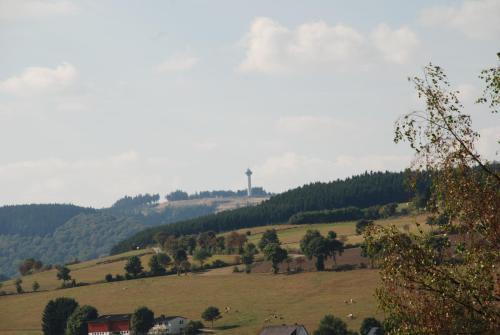 a view of a field with cows on a hill at Pension Robin Hood in Willingen