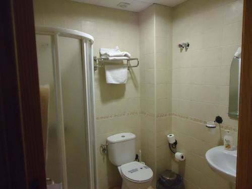 a small bathroom with a toilet and a sink at Hotel Antequera Rural Fortes La Nuit in Mollina