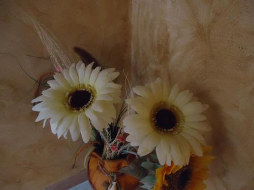 three white flowers in a vase on a wall at Hotel Antequera Rural Fortes La Nuit in Mollina