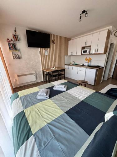 een slaapkamer met een groot bed en een keuken bij Apartman Dan i Noć in Divčibare