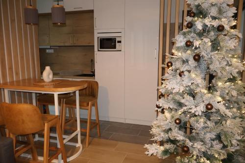 Køkken eller tekøkken på Apartmani Vidik,Treska