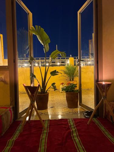 una camera con finestra e pianta in vaso di Shams House a Imsouane