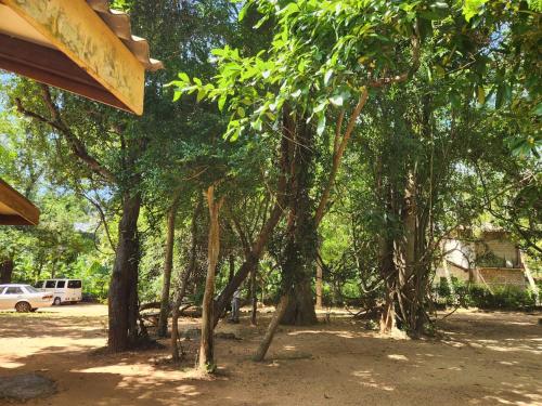 Vườn quanh Eco Pavilion