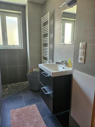 a bathroom with a sink and a toilet and a mirror at Welcome to Angèle 'Homes 2 in Niederbronn-les-Bains