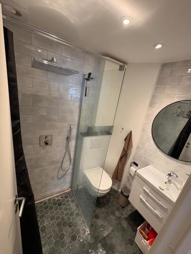a bathroom with a shower and a toilet and a sink at 120 m2 newly renovated apartment in Copenhagen