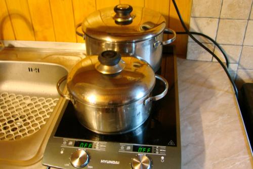 Billede fra billedgalleriet på Villa Victoria i Kamesznica