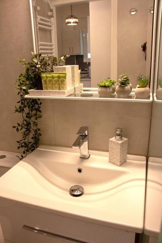 Bright Apt - Quiet - Near Metro - Fast WiFi