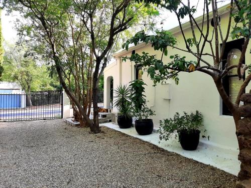 En have udenfor Villa Olivia