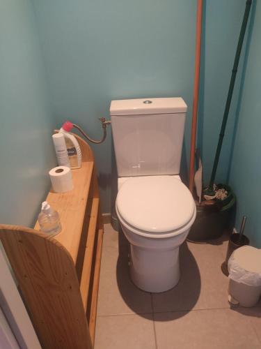 ein Badezimmer mit einer weißen Toilette in einem Zimmer in der Unterkunft Logis douillet plein centre du village in Aubigné-Racan