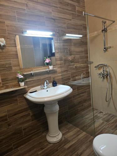 a bathroom with a sink and a glass shower at Бадевски рай-къща Надежда in Badewzi