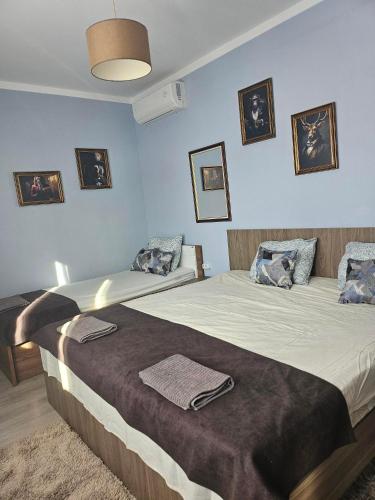 two beds in a room with blue walls at Бадевски рай-къща Надежда in Badewzi