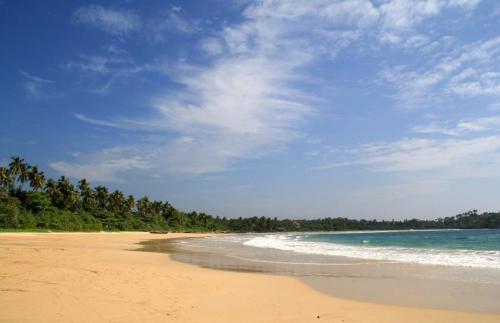 une plage de sable avec l'océan et ses arbres dans l'établissement Brenley B Bungalow, à Talalla South