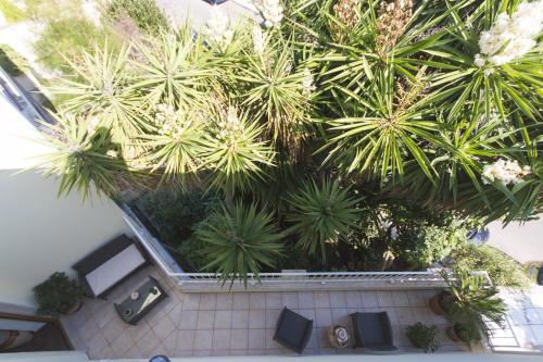 an overhead view of a garden with palm trees at B&B Luxury in Lecce