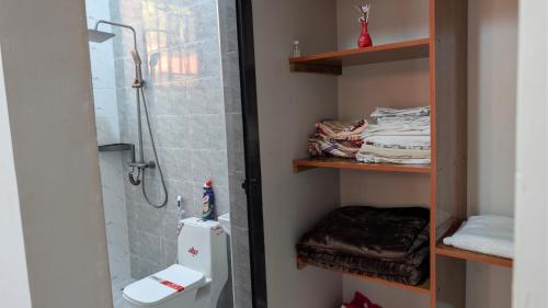 een badkamer met douche en toilet bij Dans place in Moshi