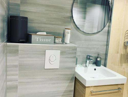 een badkamer met een wastafel en een spiegel bij Chambres d'Hôtes La Petite Odile in Boersch