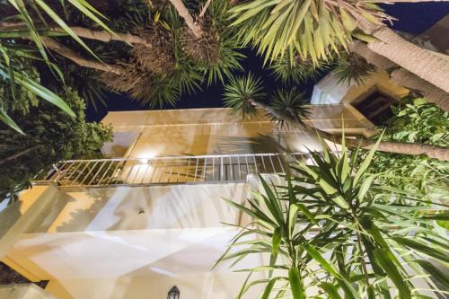 a building with palm trees in front of it at B&B Luxury in Lecce