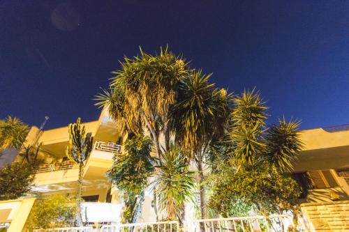 a group of palm trees in front of a building at B&B Luxury in Lecce