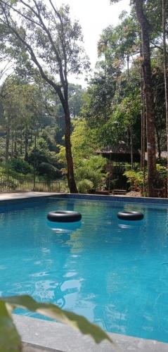 Gallery image of BLUE CREEK Pool property in Meppādi