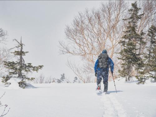 a person is cross country skiing in the snow at Glamday style hotel suite 川ノ音 in Kyū-karuisawa