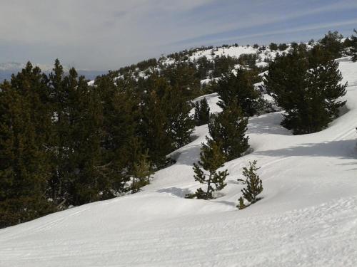 Gallery image of Apartment Face Aux Pistes in Gréolières les Neiges