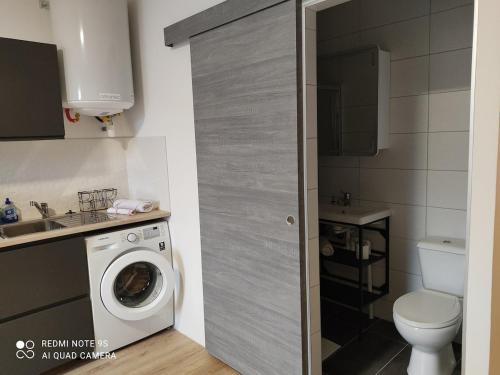 ein Badezimmer mit Waschmaschine und Waschbecken in der Unterkunft Studio 1 Classe 2, Fibre, Netflix in Moirans-en-Montagne