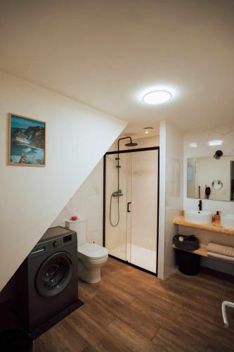 een badkamer met een douche, een toilet en een wastafel bij Ancien Cloître rénové - Hyper centre - T2 de 50m2 in Mont-de-Marsan