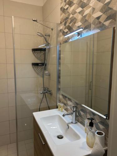 een badkamer met een wastafel, een douche en een spiegel bij Azure in Aqaba