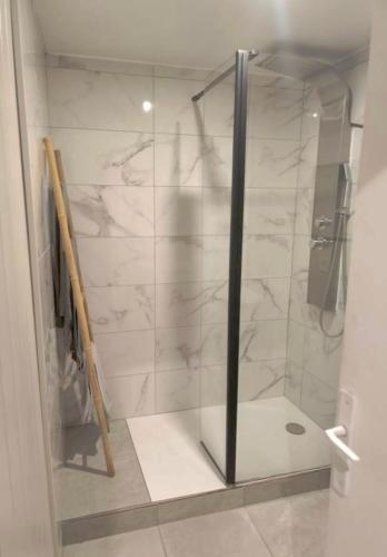 a shower with a glass door in a bathroom at Logement privatif avec Jaccuzi, sauna, Atdream in Bergues