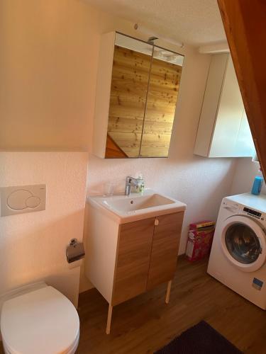 un bagno con lavandino e lavatrice di Chalet à Savièse en bordure de forêt a Savièse