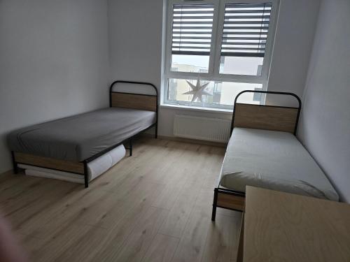 Gallery image of Luxury Rinok rooms in Rača